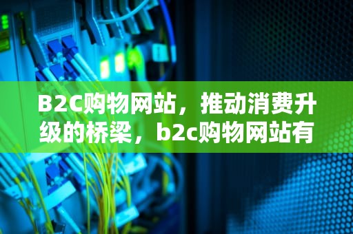 B2C购物网站，推动消费升级的桥梁，b2c购物网站有哪些