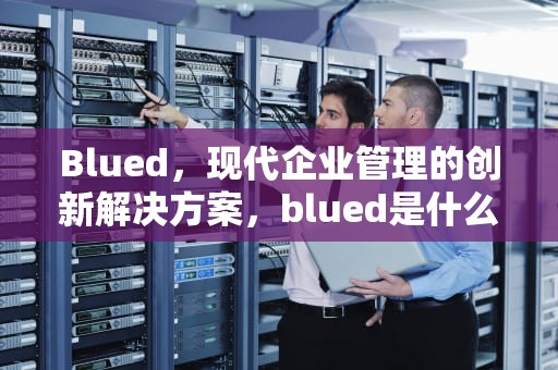 Blued，现代企业管理的创新解决方案，blued是什么软件是干嘛的