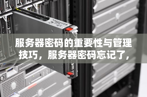 服务器密码的重要性与管理技巧，服务器密码忘记了,怎么重置