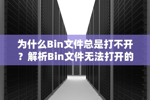为什么Bin文件总是打不开？解析Bin文件无法打开的原因及解决方法，bin文件打不开怎么办解决