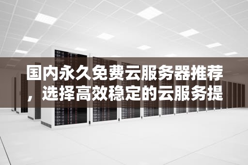 国内永久免费云服务器推荐，选择高效稳定的云服务提供商，国内永久免费的云服务器推荐