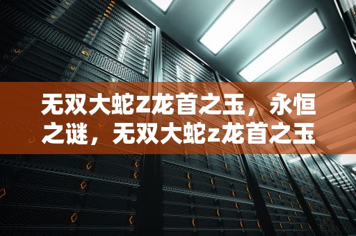 无双大蛇Z龙首之玉，永恒之谜，无双大蛇z龙首之玉怎么获得