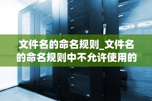 文件名的命名规则_文件名的命名规则中不允许使用的字符是_文件名的命名规则