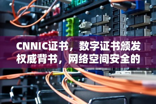 CNNIC证书，数字证书颁发权威背书，网络空间安全的守护者，cnnic证书事件