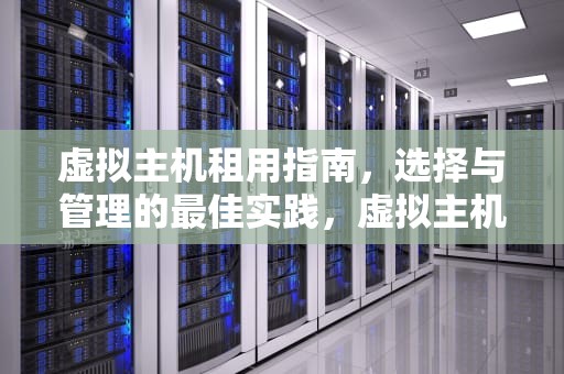 虚拟主机租用指南，选择与管理的最佳实践，虚拟主机租用情况