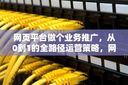网页平台做个业务推广，从0到1的全路径运营策略，网页平台做个业务推广怎么做