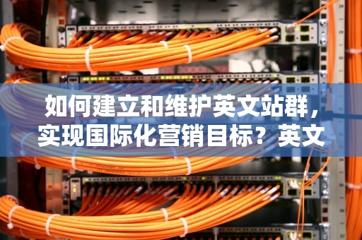 如何建立和维护英文站群，实现国际化营销目标？英文站群软件