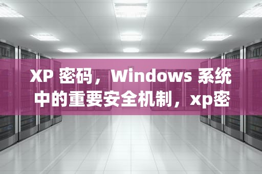 XP 密码，Windows 系统中的重要安全机制，xp密码忘了怎么解除开机密码