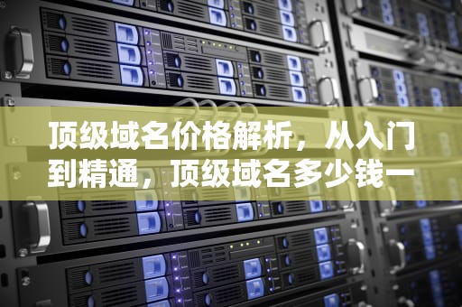 顶级域名价格解析，从入门到精通，顶级域名多少钱一年