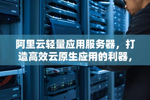 阿里云轻量应用服务器，打造高效云原生应用的利器，阿里云轻量应用服务器和ecs区别