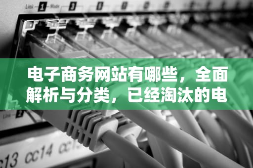 电子商务网站有哪些，全面解析与分类，已经淘汰的电子商务网站有哪些