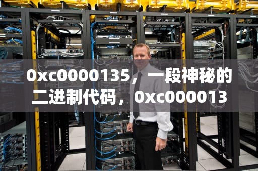 0xc0000135，一段神秘的二进制代码，0xc0000135无法正常启动