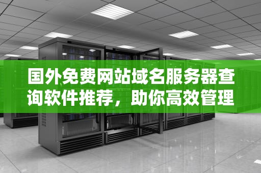 国外免费网站域名服务器查询软件推荐，助你高效管理网络资源，国外免费网站域名服务器查询软件下载