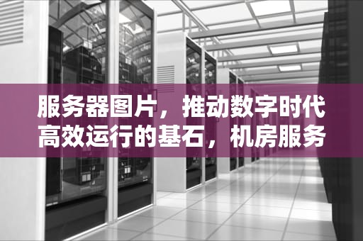 服务器图片，推动数字时代高效运行的基石，机房服务器图片