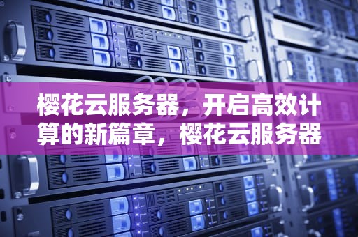 樱花云服务器，开启高效计算的新篇章，樱花云服务器网站游戏