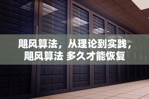 飓风算法，从理论到实践，飓风算法 多久才能恢复