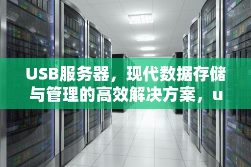 USB服务器，现代数据存储与管理的高效解决方案，usb服务器是什么