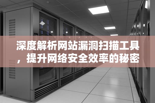 深度解析网站漏洞扫描工具，提升网络安全效率的秘密武器，网站漏洞扫描工具下载