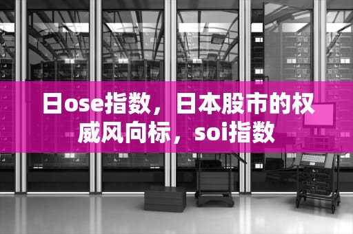 日ose指数，日本股市的权威风向标，soi指数