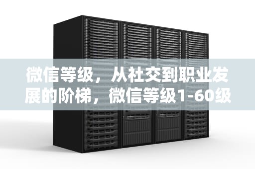 微信等级，从社交到职业发展的阶梯，微信等级1-60级价目表