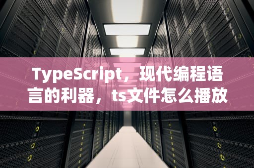TypeScript，现代编程语言的利器，ts文件怎么播放