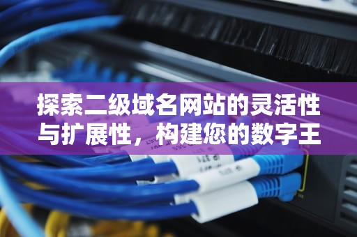 探索二级域名网站的灵活性与扩展性，构建您的数字王国，二级域名网站查询入口