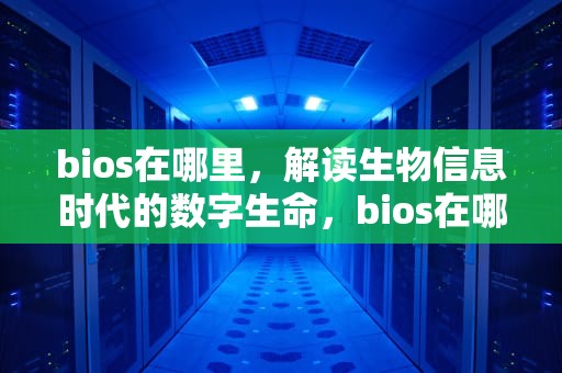 bios在哪里，解读生物信息时代的数字生命，bios在哪里打开