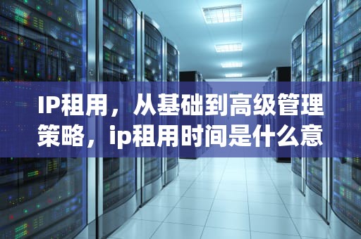 IP租用，从基础到高级管理策略，ip租用时间是什么意思