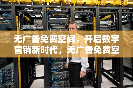 无广告免费空间，开启数字营销新时代，无广告免费空间游戏