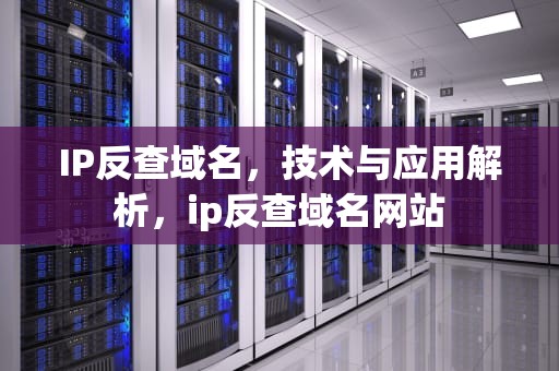 IP反查域名，技术与应用解析，ip反查域名网站