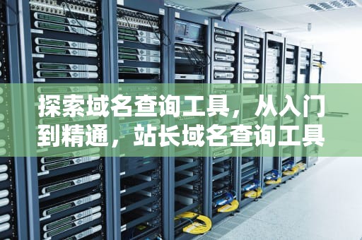 探索域名查询工具，从入门到精通，站长域名查询工具