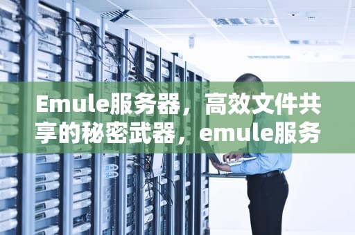 Emule服务器，高效文件共享的秘密武器，emule服务器地址列表地址