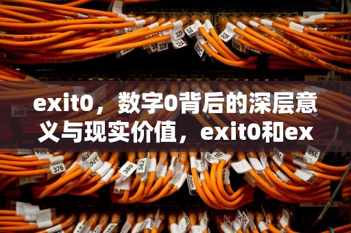 exit0，数字0背后的深层意义与现实价值，exit0和exit1区别