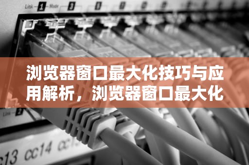 浏览器窗口最大化技巧与应用解析，浏览器窗口最大化快捷键