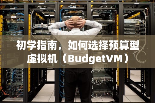 初学指南，如何选择预算型虚拟机（BudgetVM）