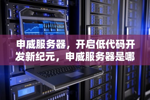申威服务器，开启低代码开发新纪元，申威服务器是哪家公司的