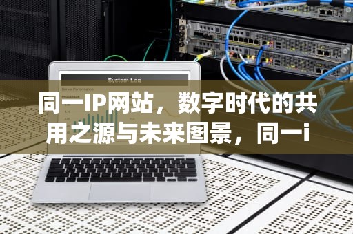 同一IP网站，数字时代的共用之源与未来图景，同一ip网站查询