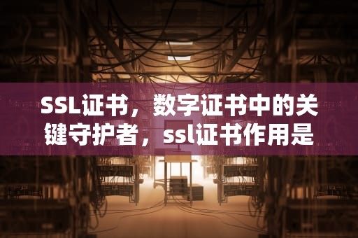 SSL证书，数字证书中的关键守护者，ssl证书作用是什么