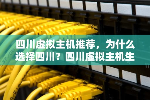 四川虚拟主机推荐，为什么选择四川？四川虚拟主机生产厂家