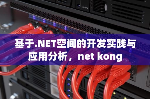 基于.NET空间的开发实践与应用分析，net kong