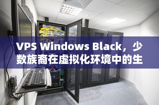 VPS Windows Black，少数族裔在虚拟化环境中的生存与挑战，黑人抬win7