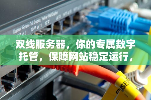 双线服务器，你的专属数字托管，保障网站稳定运行，双线服务器是什么意思