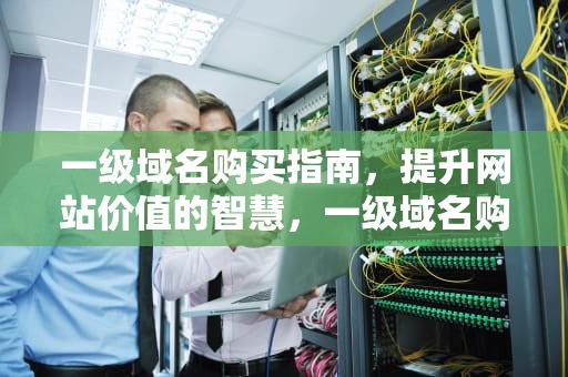 一级域名购买指南，提升网站价值的智慧，一级域名购买地址