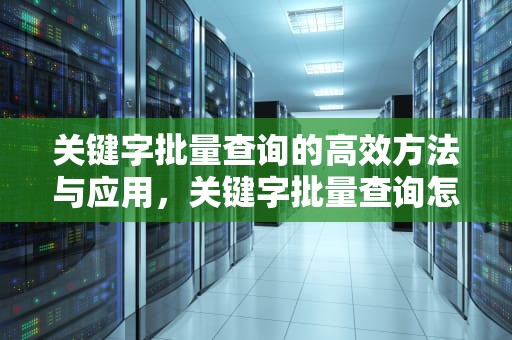 关键字批量查询的高效方法与应用，关键字批量查询怎么设置