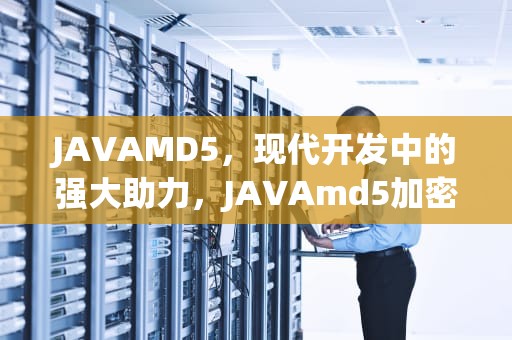 JAVAMD5，现代开发中的强大助力，JAVAmd5加密解密