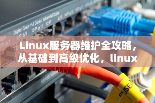 Linux服务器维护全攻略，从基础到高级优化，linux服务器维护流程