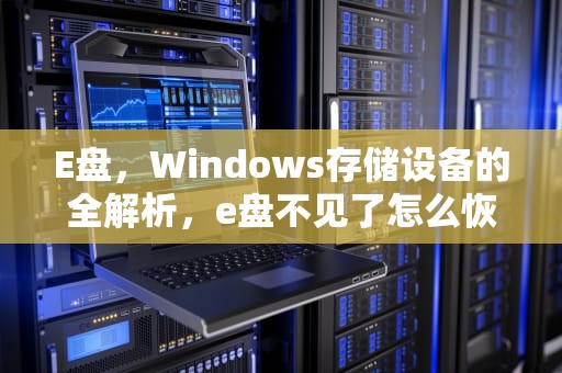 E盘，Windows存储设备的全解析，e盘不见了怎么恢复