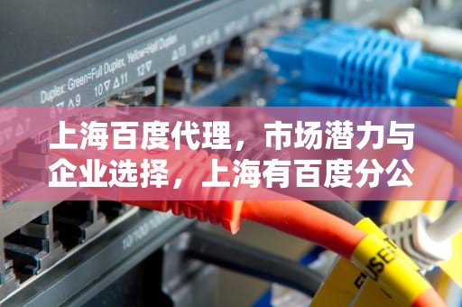 上海百度代理，市场潜力与企业选择，上海有百度分公司