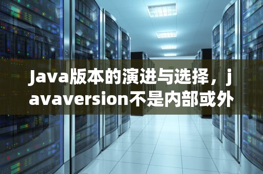 Java版本的演进与选择，javaversion不是内部或外部命令,也不是可运行的程序