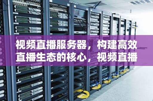 视频直播服务器，构建高效直播生态的核心，视频直播服务器需要多大带宽